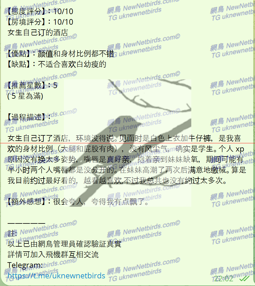 戰號 341 2.png